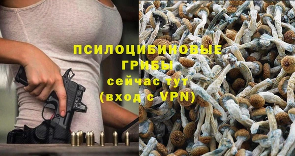 дживик Алексин