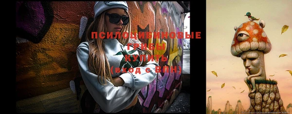 дживик Алексин