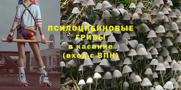 стаф Алексеевка