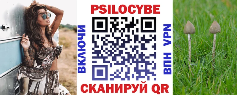 Псилоцибиновые грибы Psilocybe купить наркоту kraken как зайти Калтан